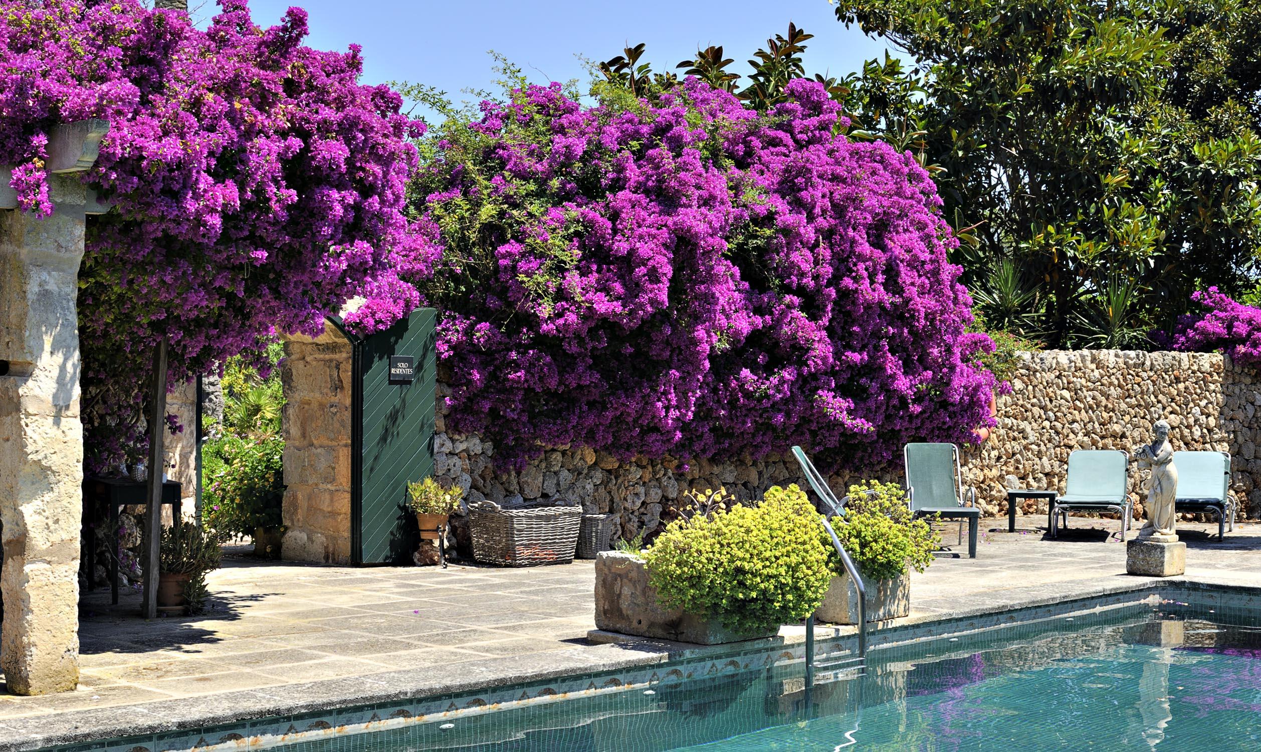 סנט לואיס Hotel Rural Biniarroca - Adults Only מראה חיצוני תמונה